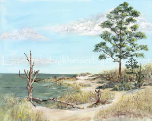 AssateagueBayProof-alamoon.jpg