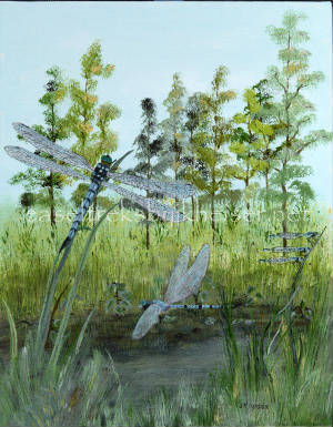 Dragonflies1.jpg