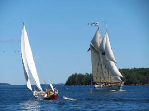 lindaSailing.jpg